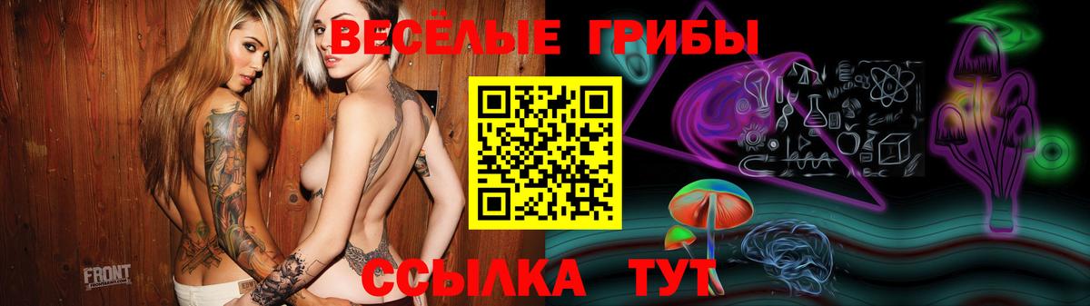 Дмитров  Галлюциногенные грибы Magic Shrooms  Вход с VPN 